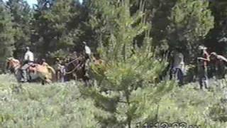 Colorado Rainbow Gathering Road block 2006 [upl. by Aguie]