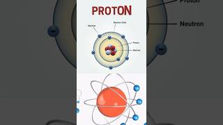 The positively charged particles that power the atom 💥⚛️ science atoms proton physics stem [upl. by December]