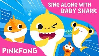 SHARK  Sing along with baby shark  Pinkfong Songs for Children [upl. by Sikes]