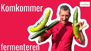 Komkommer fermenteren [upl. by Tichonn]