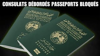 Renouvellement de passeports  les sites de prise de RDV des consulats algériens inopérants [upl. by Cranston177]