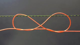 Three best knots to tie two fishing lines together [upl. by Aicener]