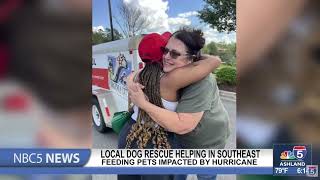 Grants Pass based dog rescue helps the pets of Hurricane Helene [upl. by Irami]