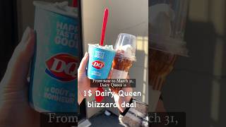 1 Dairy Queen blizzard in Canada🍦😱deals icecream dairyqueen musttry [upl. by Avot]