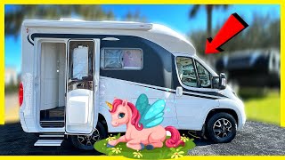 2023 Wingamm Oasi 540 TINY EURO Camper Van New Model Coming Soon [upl. by Aihcila]