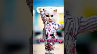 Cat Dance🎉🐾🥰shorts catvideos cat pets [upl. by Fishman658]