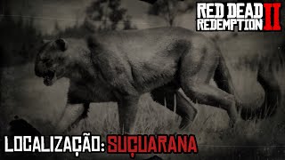 Red Dead Redemption 2 Localização da SUÇUARANA [upl. by Ikram]