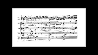 Boccherini Cello Concerto No 9 Bflat major G482  Score 1st Movement [upl. by Eupheemia]