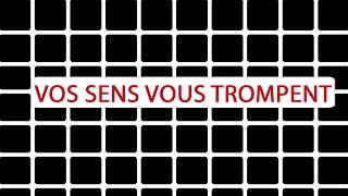 Vos sens vous trompentils   Science et Vie TV [upl. by Zaneski650]