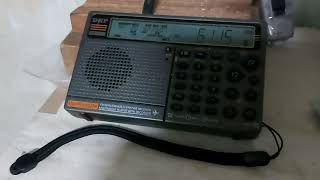 ラジオNIKKEI2 6115KHz 日本語 [upl. by Irneh]