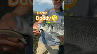 GUNKI POWERgunkifishing catchandrelease fish bassfishing bassfishing bass happy sea funny [upl. by Judsen]