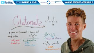 What is Glutamate amp GABA [upl. by Harding]