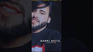 Zahri QatilNew Kashmiri Sad Song StatusShakir Babashorts youtubeshorts meertanveer436 kashmir [upl. by Kizzee784]