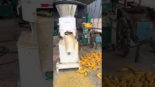 cattle feed manufacturing plant goat feed pellet making machine [upl. by Iviv]