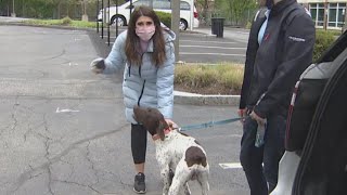 Reporter Busts Accused Dognapper on Live TV [upl. by Gerhard81]