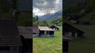 Brienz Switzerland 🇨🇭 shortvideo travel nature shorts [upl. by Fraya92]