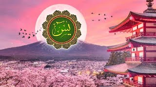 Surah yaseen ki tilawat  episode 3 [upl. by Aremus840]