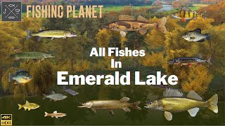 Fishing Planet  All Fishes In Emerald Lake [upl. by Flin]