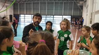 Arnold Gesell handball [upl. by Anelagna629]