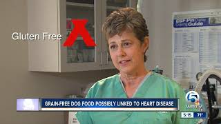 FDA investigates possible link between grainfree dog food canine heart disease [upl. by Elissa]