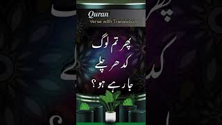 Quran Verse with Translation  Fa ayna tazhaboon  فَأَيْنَ تَذْهَبُونَ [upl. by Ortrude]