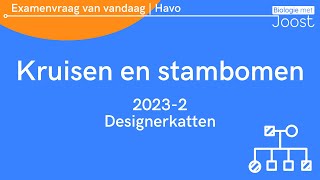 3 Examenvraag van vandaag  Havo  20231 Designerkatten 🐈 [upl. by Isiah]