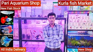 Pari Aquarium Kurla Fish Market  Pari Aquarium New Shop  Betta fish Guppies Shrimp 🦐 Arowana [upl. by Ynelram903]