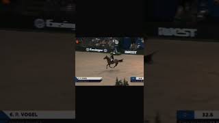 I love the jumps😩🔛🔝Richard Vogel amp United Touch Sfypシ゚viral equestrain horse edit [upl. by Brand]