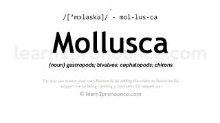 Pronunciation of Mollusca  Definition of Mollusca [upl. by Seton467]