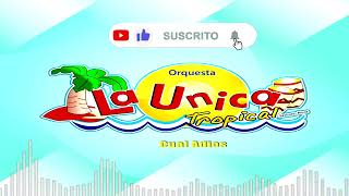 La Unica Tropical  Mix  DJ LULA  Partido En Dos Si Esta Casa Hablara Cual Adios Etc [upl. by Bowlds]