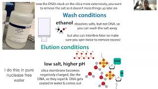 Spin column nucleic acid purification  how it works [upl. by Irwin10]