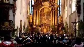 UA Schola Cantorum quotIrish Blessingquot at St Vitus Cathedral [upl. by Stanleigh673]