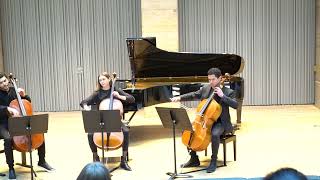 Haydn  Trio Divertimento for 3 Cellos [upl. by Anirol]