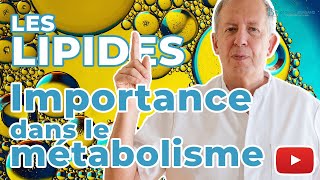 Importance des lipides dans le métabolisme │ Médecine AntiAge [upl. by Wojcik613]