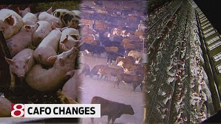 CAFO changes [upl. by Pasco]