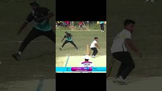 bangla cricket shorts tannins trending [upl. by Alba]