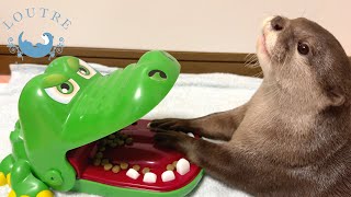 Otters Reaction Bitten On The Hand By A Crocodile [upl. by Adrell]