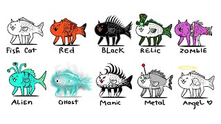 Different Versions of Fish Cats  The Battle Cats [upl. by Landis]