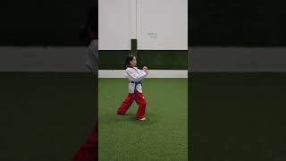 POOMSAE 3 TAEKWONDO [upl. by Calen]