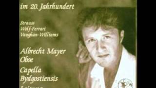 R Vaughan Williams Concert for oboe Albrecht Mayer Oboe 2 [upl. by Nwahs]