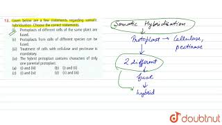 Given below are a few statements regarding somatic hybridisation Choose the correct statements [upl. by Warila]