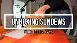 Unboxing some sundews from GreenJaws [upl. by Euqinor]