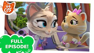 44 Cats  Season 2  Pilou and her Loose Tooth FULL EPISODE [upl. by Drolet696]