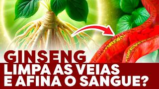 Planta milenar contra má circulação que melhora a saúde cardiovascular incríveis efeitos do ginseng [upl. by Hedve]