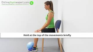 Tibialis Anterior Muscle Strengthening Exercise Tutorial Level 2  ONLINE PHYSIO EXERCISES [upl. by Case]