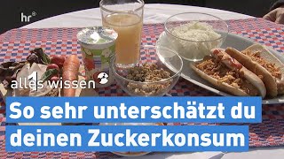 Zucker – wie viel ist zu viel  alles wissen [upl. by Aititel]