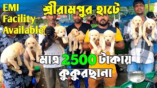 মাত্র 2500 টাকায় কুকুরছানা Serampore Pet Market। Dog Market Serampore। [upl. by Daffi]