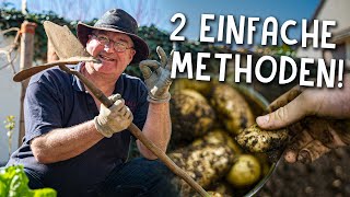 Kartoffeln anbauen im Garten amp auf dem Balkon 🥔  Tipps für eine ertragreiche Ernte [upl. by Einavoj]