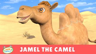 Jamel the Camel  Jamil and Jamila Songs for Kids [upl. by Regan446]