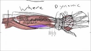 Wrist Tendonitis Symptoms Basics  What Actually Causes Them [upl. by Nicolella]